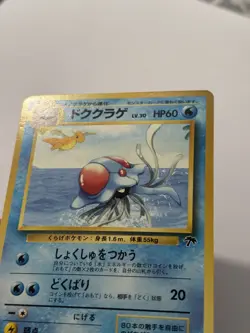 Pokemon Tentacruel Southern Island 073 Common Regular Japanese - Image 3