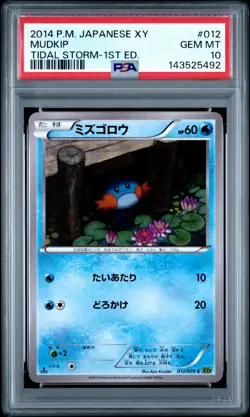 PSA 10 Mudkip 012/070 1st Edition Tidal Storm Pokemon Japanese - Image 1