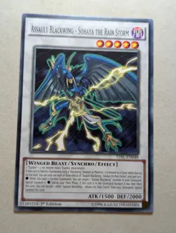 Assault Blackwing - Sohaya the Rain Storm - TDIL-EN048 Common Yugioh - Image 1