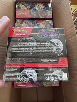 Pokemon TCG - Mega Evolution - Phantasmal Flames Booster Box - New Sealed - Image 2