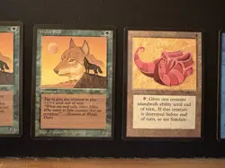 Arabian Nights MTG Package. 8 Cards. LP-NM+! - Image 3