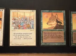 Arabian Nights MTG Package. 8 Cards. LP-NM+! - Image 5