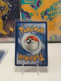 Pokemon - Chimchar 041 Promo Holofoil - ME: Mega Evolution Promo - NM - Image 4