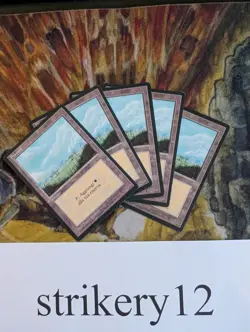 1x Plains (B) – Revised FBB Italian – MTG - Image 1