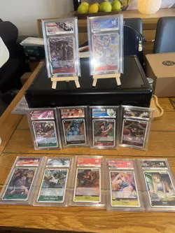 Huge ACE Bundle Of 11 Slabs All Gem Mint 10, Monkey.D.Luffy Nami & More - Image 1