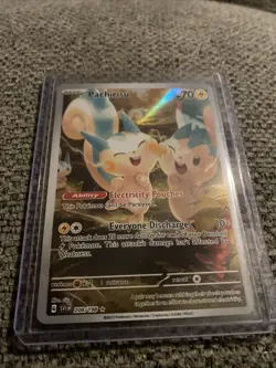 Pachirisu 208/198 Scarlet & Violet Base Illustration Holo Rare Pokemon TCG NM - Image 1