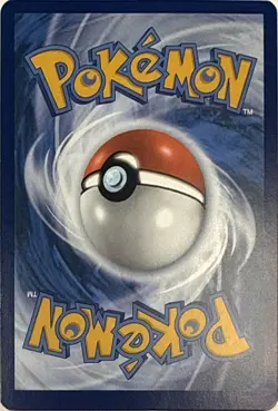 Quaquaval (Prerelease) 005 Holo P Scarlet & Violet Promo Pokemon NM - Image 2