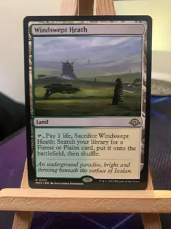 WINDSWEPT HEATH 235 RARE PRERELEASE CARDS MAGIC: THE GATHERING NM/M - Image 1