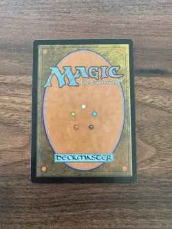 Swamp (441) - Fifth Edition #441 MTG Magic The Gathering NM - Image 5