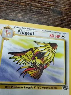 Pokemon Jungle Unlimited Pidgeot 24/64 Non Holo (YELLOW INK MISPRINT) - Image 3