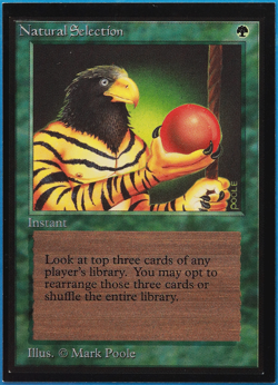 Natural Selection Collectors' Edition NM (Reserved List MTG Magic Card) (501675) - Image 1