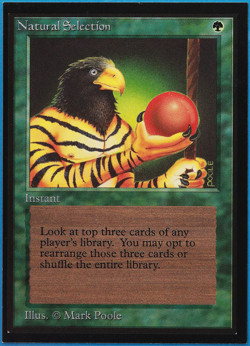 Natural Selection Collectors' Edition NM (Reserved List MTG Magic Card) (501677) - Image 1