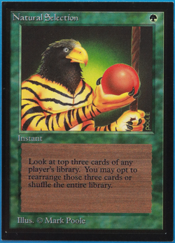 Natural Selection Collectors' Edition NM (Reserved List MTG Magic Card) (501676) - Image 1