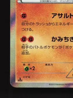 Garchomp 051/080 Rage of the Broken Heavens LP 1st ED Japanese Pokemon Card TCG - Image 4