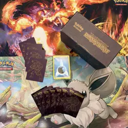Pokemon TCG PLASMA BLAST Collectors ETB Black & White *EMPTY* - Image 1
