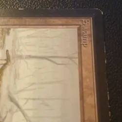 Swamp (A) Beta LP Version A Magic the Gathering MTG - Image 5