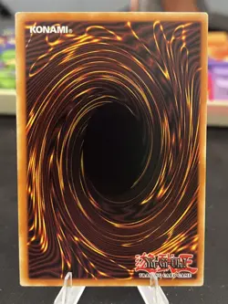 Bramble Rose Dragon DOOD-EN039 (Secret Rare) - 1st Edition Yu-Gi-Oh TCG - Image 2