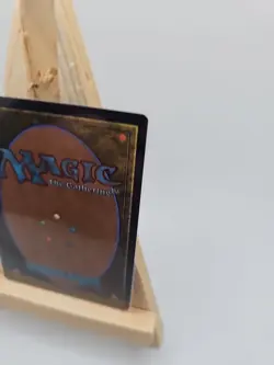 MTG Ainok Strike Leader Commander: Tarkir: Dragonstorm Near Mint Condition - Image 5