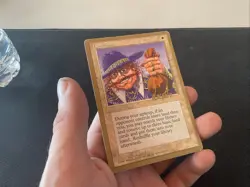 MTG Land Tax 1996 Michael Loconto 4th Edition World Championship Decks LP/MP - Image 4