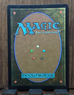 MTG😍 Permission Denied (FOIL EMBLEM) JURASSIC PARK - Near Mint😍❤ - Image 3