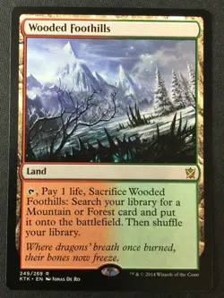 MTG Khans of Tarkir #249 Wooded Foothills NM - Image 1