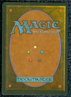 TIAGA dual land Foreign Black Border German MTG Unplayed Near mint - Image 3