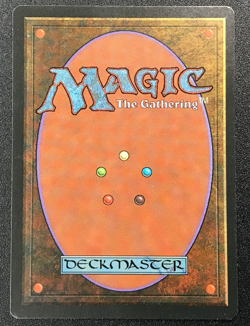 TIAGA dual land Foreign Black Border German MTG Unplayed Near mint - Image 5