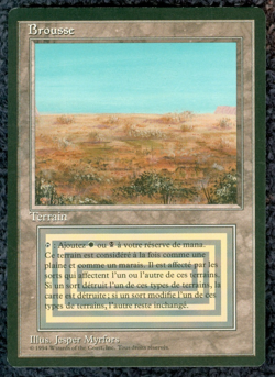 SCRUBLAND dual land Foreign Black Border French MTG Near mint Unplayed - Image 1