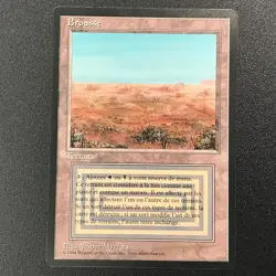 SCRUBLAND dual land Foreign Black Border French MTG Near mint Unplayed - Image 4