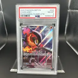 2025 Pokemon Phantasmal Flames ETB Charcadet #022 Promo Graded PSA 8 EN - Image 5