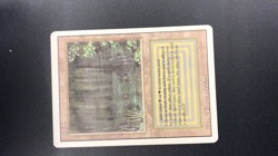 BAYOU dual land Revised Magic the Gathering MTG LP - Image 2