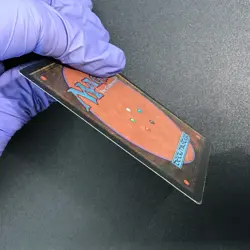 SCRUBLAND dual land Revised Magic the Gathering MTG MP - Image 4