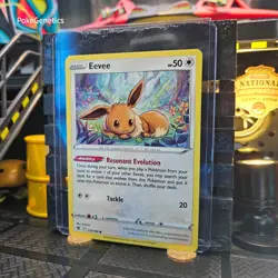 Eevee Astral Radiance Pokemon TCG 119/189 Sword & Shield SWSH10 Common - Image 2