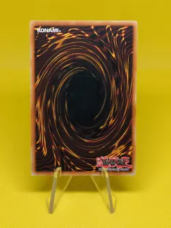 Yugioh - Fossil Excavation (SD09-EN036) - Common 1st Edition - Image 2