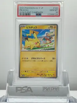 PSA 10 Pikachu 120/SV-P 2023 GYM EVENT CAMPAIGN Pokemon Card Japanese Promo - Image 1