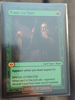 Divorced Dads Age of Alimony Cards - Pubes the Grey - Image 1