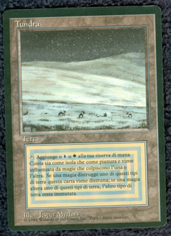 TUNDRA dual land Foreign Black Border Italian MTG -Light play - Image 1