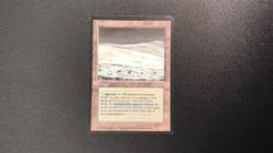 TUNDRA dual land Foreign Black Border Italian MTG -Light play - Image 2