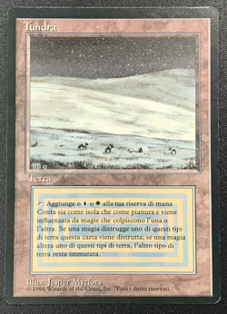 TUNDRA dual land Foreign Black Border Italian MTG -Light play - Image 4
