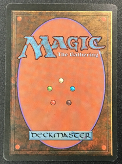 TUNDRA dual land Foreign Black Border Italian MTG -Light play - Image 5