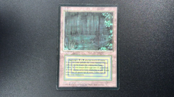 BAYOU dual land Foreign Black Border Italian MTG MP - Image 2