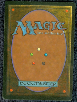 BAYOU dual land Foreign Black Border Italian MTG MP - Image 3