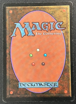 BAYOU dual land Foreign Black Border Italian MTG MP - Image 5