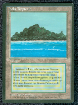 TROPICAL ISLAND dual land Foreign Black Border Italian MTG Light play - Image 1