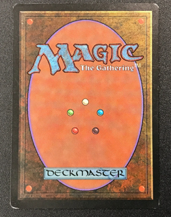 TROPICAL ISLAND dual land Foreign Black Border Italian MTG Light play - Image 5