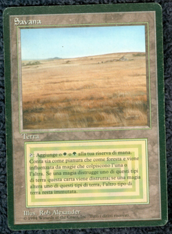 SAVANNAH dual land Foreign Black Border Italian MTG Moderate play - Image 1