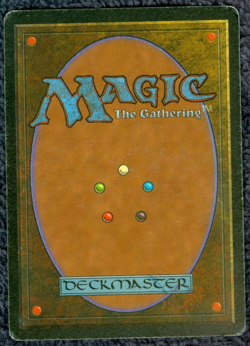 SAVANNAH dual land Foreign Black Border Italian MTG Moderate play - Image 3