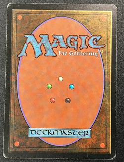 SAVANNAH dual land Foreign Black Border Italian MTG Moderate play - Image 5