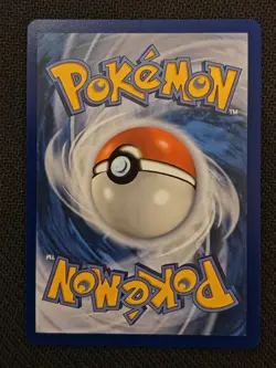 Pokemon Litten MEP 044 - First Partner Illustration Promo Card 30 Anniversary NM - Image 3