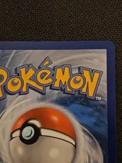 Pokemon Litten MEP 044 - First Partner Illustration Promo Card 30 Anniversary NM - Image 5